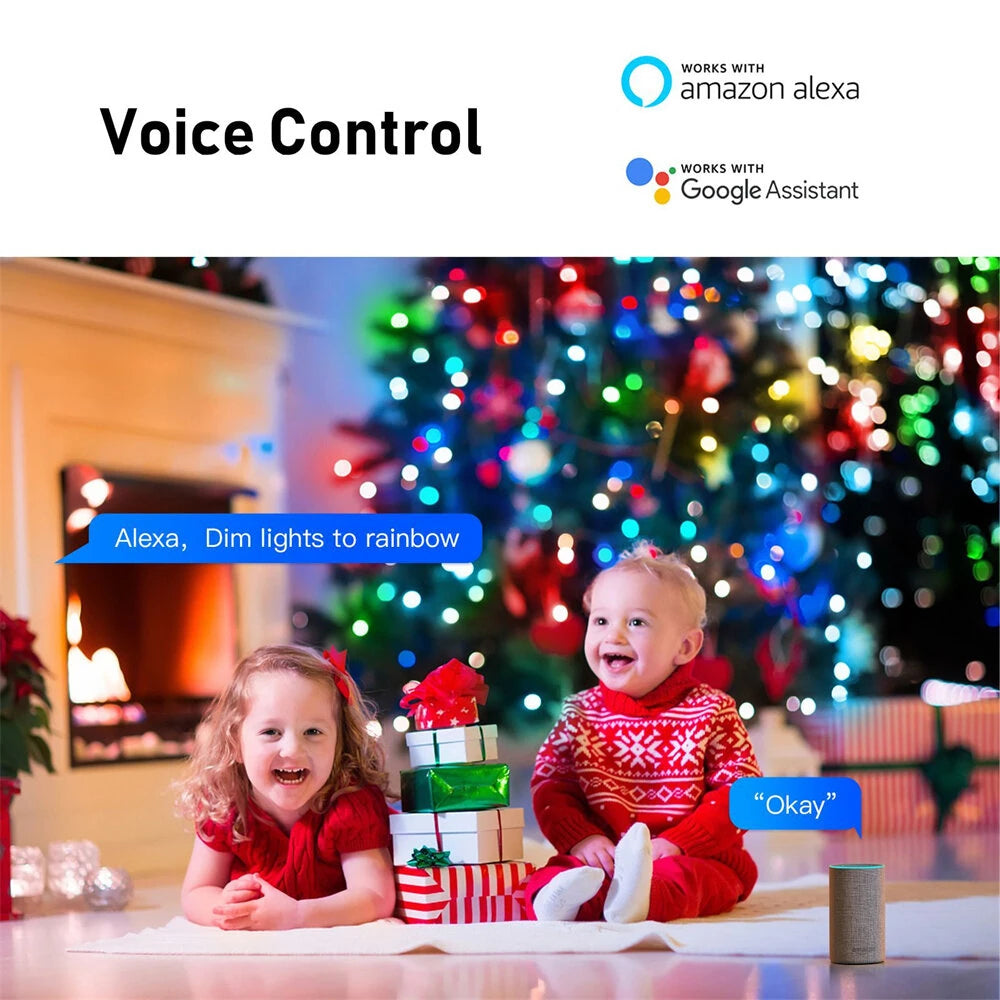 RSH Smart Tuya Wifi Bluetooth LED Light String IP65 Waterproof for Halloween Christmas Party Festival Luminous Leather String Light