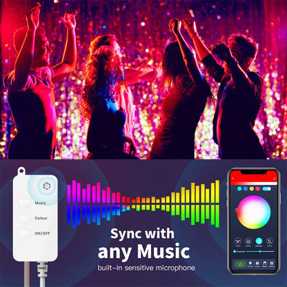 RSH Smart Tuya Wifi Bluetooth LED Light String IP65 Waterproof for Halloween Christmas Party Festival Luminous Leather String Light