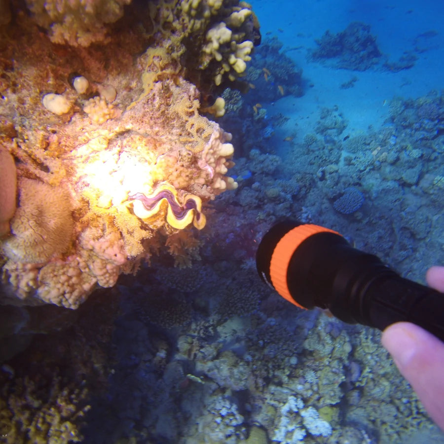 Astrolux DL01 XHP50.2 2230LM Underwater 100M Strong Dive Light 6500K Professinal Scuba Diving LED Flashlight with Magnetic Switch Under Water Photography Video LED Fill Light