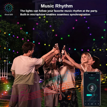 RSH 10m 100LED Smart LED String Lights Music Sync APP/Remote Control IP65 Waterproof for Christmas Tree Decor Holiday Decoration