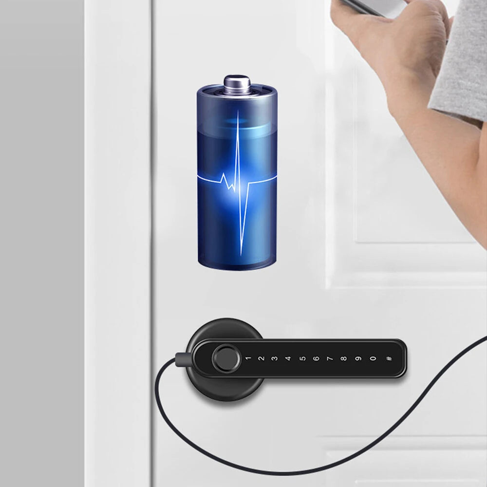 Smart Electronic Door Lock Fingerprint Password Key Unlock 0.25S Fast Response Long Battery Life Anti-Peep Password for Office Hotel Wooden Door