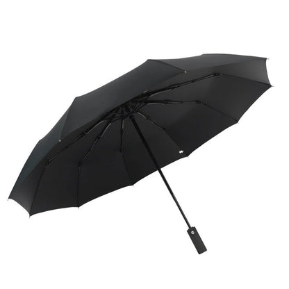 AGSIVO Travel Automatic Folding Umbrella Sun and Rain 10 Ribs Reinforced Windproof UPF 50+ UV Protection Auto Open Close For Men and Women