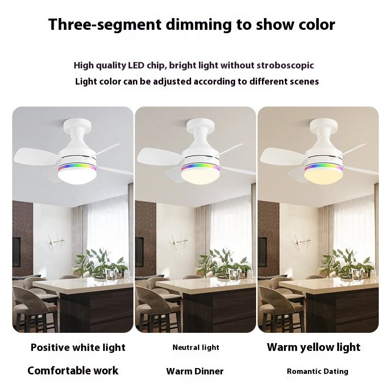 LED E27 Ceiling Fan Light Dimmable with Remote Control 3-Speed RGB Mood Lighting 3 Color Temperature Quiet Operation