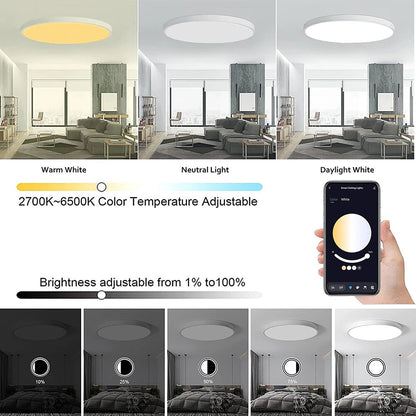 Gosund LB13 20W Smart Ceiling Light 1600LM RGB+CW LED Ceiling Lamp 30cm Voice Control With Alexa & Google Home