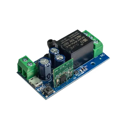 EWelink Smart WiFi Relay Switch DC 5V 12V 24V 48V Wireless Remote Control 1 Channel Alexa Google Home Voice Control