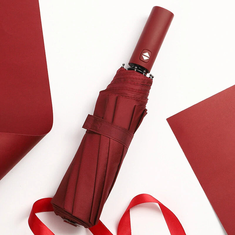 AGSIVO Travel Automatic Folding Umbrella Sun and Rain 10 Ribs Reinforced Windproof UPF 50+ UV Protection Auto Open Close For Men and Women