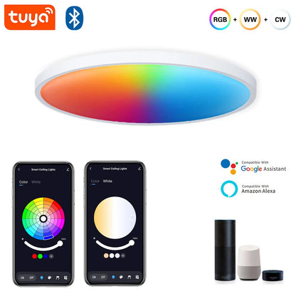 Gosund LB13 20W Smart Ceiling Light 1600LM RGB+CW LED Ceiling Lamp 30cm Voice Control With Alexa & Google Home