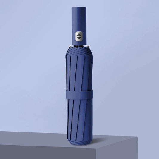 AGSIVO Travel Automatic Folding Umbrella 12 Ribs Reinforced Windproof UPF 50+ UV Protection Auto Open Close For Men and Women