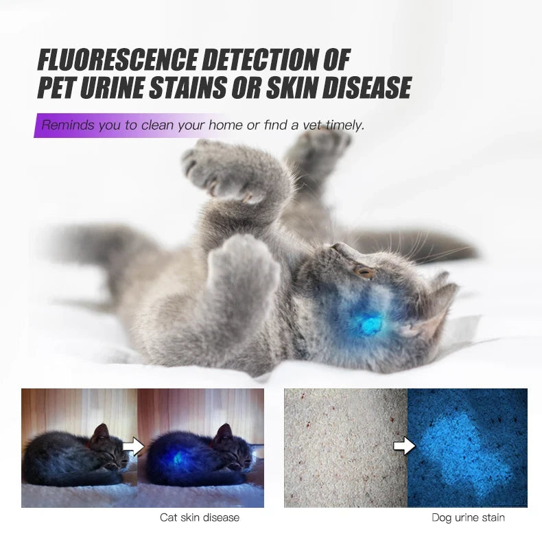 TANK007 UV03 High Power UV 365nm LED Flashlight NDT EDC Portable Blacklight Powerful Torch Detector