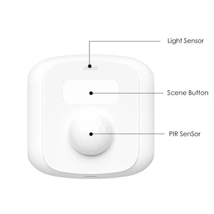 Tuya Wifi Zigbe Mini Sensor Body PIR Sensor With Light Sensor Scene Switch Function Smart Life App Support Alexa Google Home